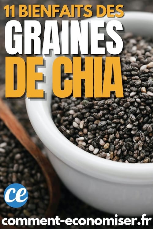 11 Incredible Scientifically Proven Benefits of CHIA SEEDS. 