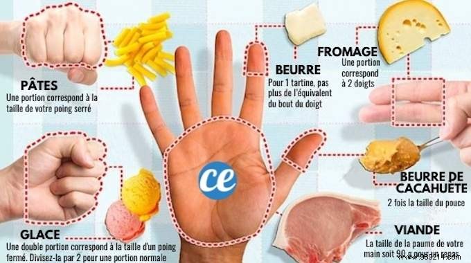 Here are the Good Food Portions to Respect to Lose Weight. 