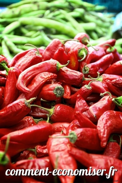 8 Health Benefits Of Chilli Nobody Knows About. 