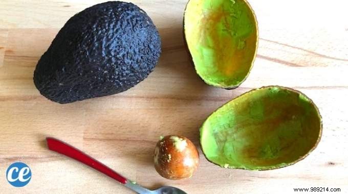 3 Good Reasons To Never Throw Avocado Skins Again. 