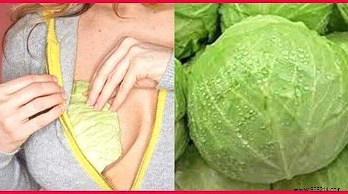 11 Amazing Uses of Cabbage Leaves (That Nobody Knows). 