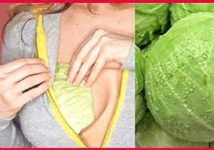 11 Amazing Uses of Cabbage Leaves (That Nobody Knows). 