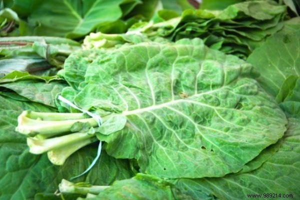 11 Amazing Uses of Cabbage Leaves (That Nobody Knows). 