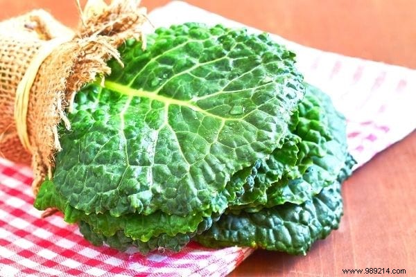 11 Amazing Uses of Cabbage Leaves (That Nobody Knows). 