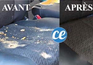 Vomit In The Car:How To Remove The Stain And Its Smell. 