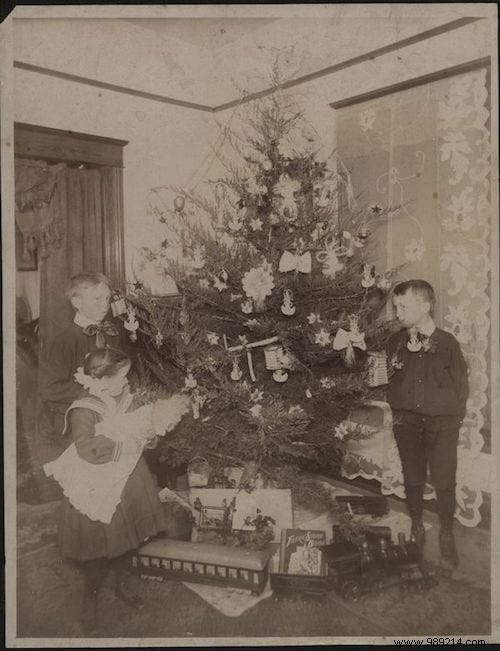 This is what Christmas trees looked like 100 years ago (12 photos). 