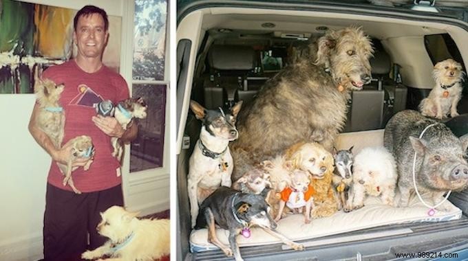 This Man Dedicates His Life To Adopting Old Dogs Who Have No Home. 