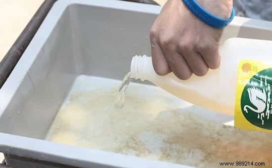 Quick and Easy:How to Clean and Disinfect Cat Litter with White Vinegar. 