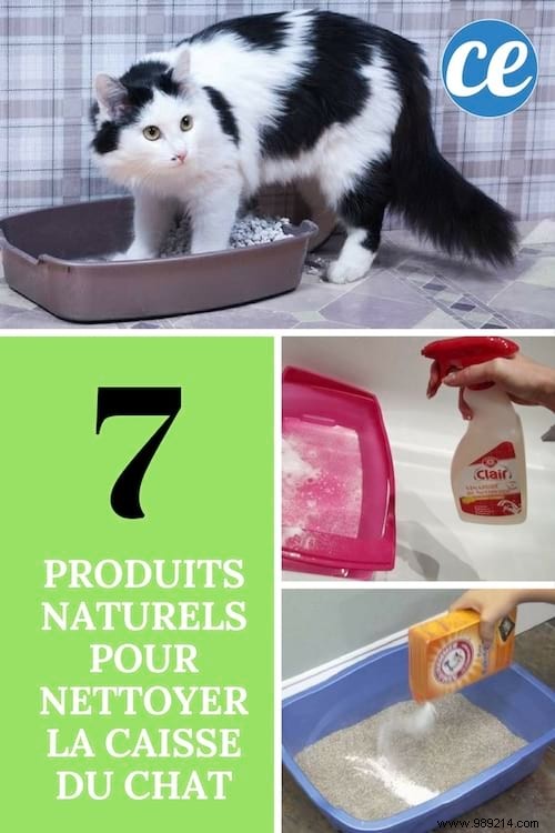 7 All-Natural Products for Cleaning Cat Litter. 