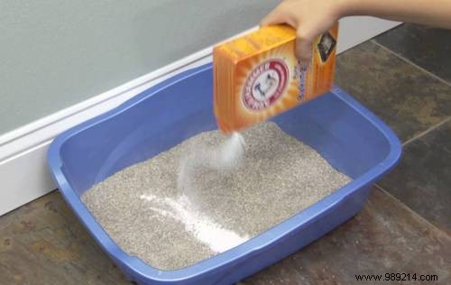 7 All-Natural Products for Cleaning Cat Litter. 