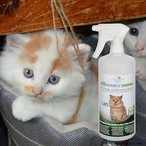 7 All-Natural Products for Cleaning Cat Litter. 