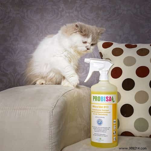 7 All-Natural Products for Cleaning Cat Litter. 