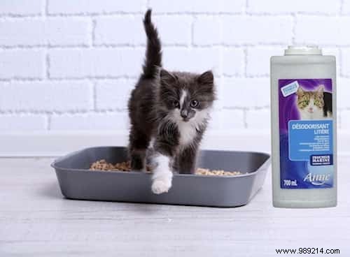 7 All-Natural Products for Cleaning Cat Litter. 