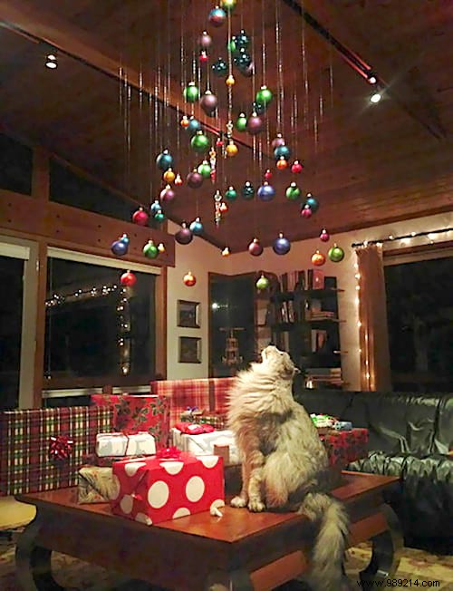 18 Photos of People Who Found a Trick to Protect the Christmas Tree from Cats and Dogs. 