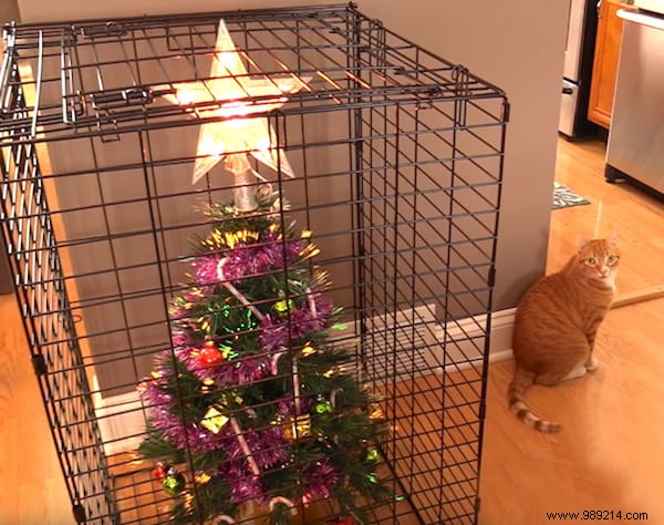 18 Photos of People Who Found a Trick to Protect the Christmas Tree from Cats and Dogs. 