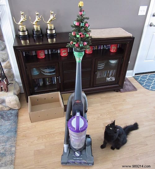 18 Photos of People Who Found a Trick to Protect the Christmas Tree from Cats and Dogs. 