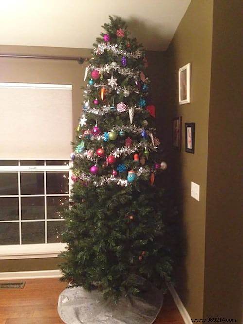 18 Photos of People Who Found a Trick to Protect the Christmas Tree from Cats and Dogs. 