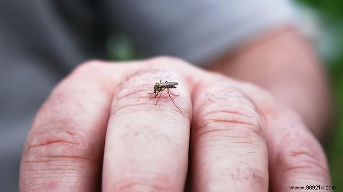 Anti-Mosquito Tip:Wear Long, Light-colored Clothing. 