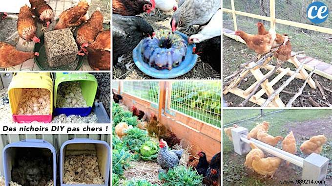 17 Tips For Your Chicken Coop That Will Make Your Hens Happy! 