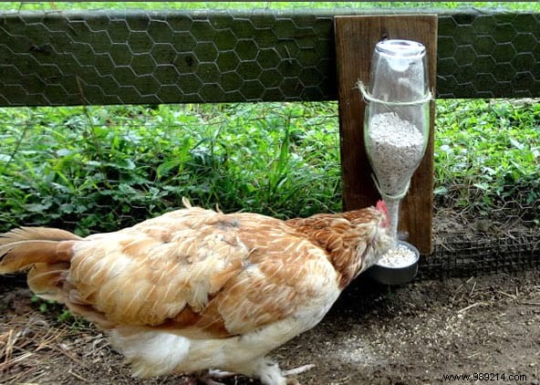 17 Tips For Your Chicken Coop That Will Make Your Hens Happy! 