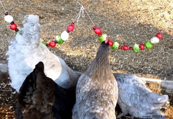 17 Tips For Your Chicken Coop That Will Make Your Hens Happy! 