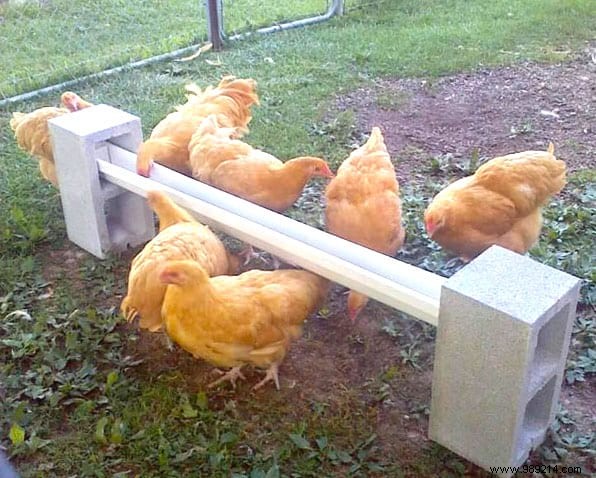 17 Tips For Your Chicken Coop That Will Make Your Hens Happy! 