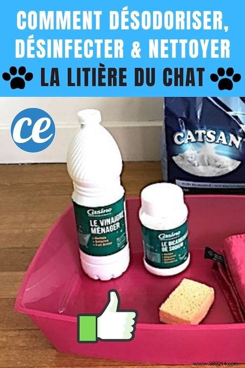 The Super Tip To Deodorize, Disinfect And Clean Cat Litter. 