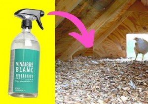 How to Clean the Chicken Coop With White Vinegar (Easy and Fast). 