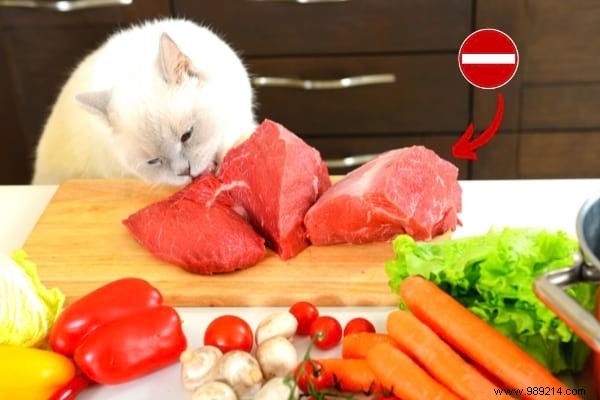 16 Toxic Foods You Should Never Feed Your Cat (Revealed By My Vet) 