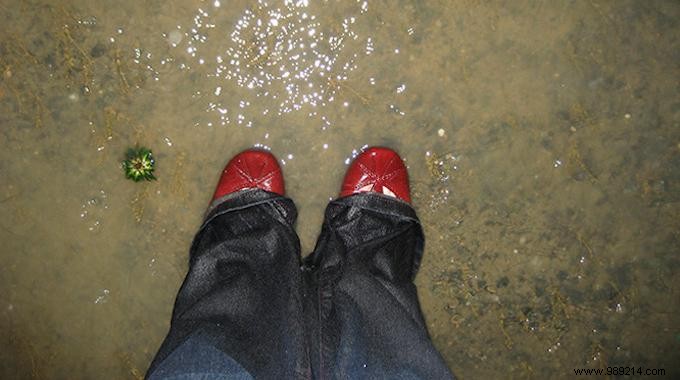 The Tip To Quickly Dry Your Wet Shoes. 