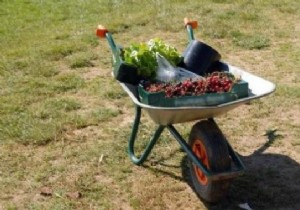 Picking at the Farm:the Tip for Less Expensive Fresh Products. 