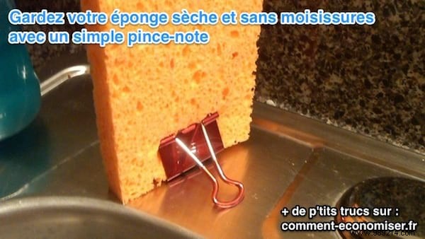 The Tip To Avoid Mold On Your Sponge. 