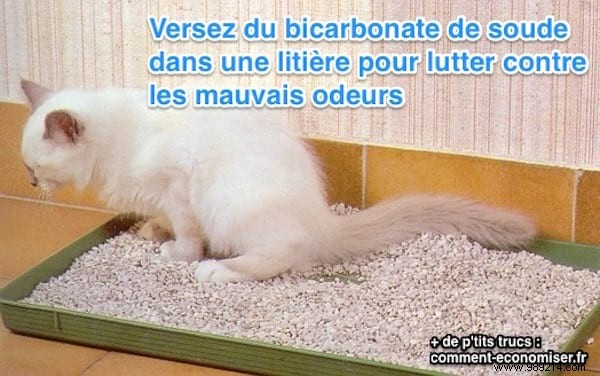 The Magic Ingredient against Litter Odors:Bicarbonate. 