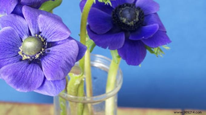 The Incredible Trick To Keep Cut Flowers Longer. 