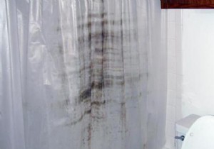 How to Clean a Moldy Plastic Shower Curtain? The Effective Solution. 