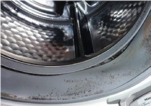 The Tip To Avoid Mold In The Washing Machine. 