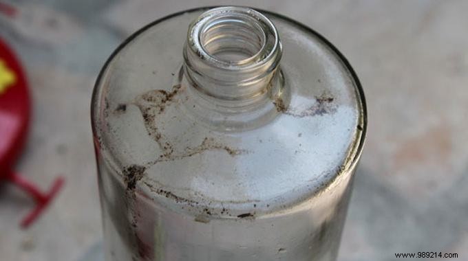 The Tip To Clean The Inside Of A Bottle Easily. 