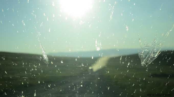 THE Brilliant Trick To No Longer Have Insects Stuck On The Windshield. 