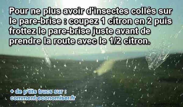 THE Brilliant Trick To No Longer Have Insects Stuck On The Windshield. 