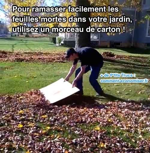 The Brilliant Trick to Collect Leaves in the Garden QUICKLY. 