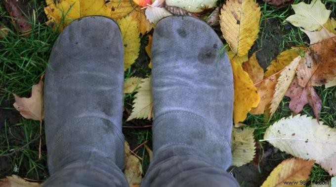 How to Easily Clean Rain Stains on Suede Shoes? 