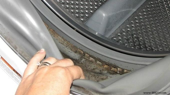 The Easy Way to Remove Mildew in the Washing Machine. 