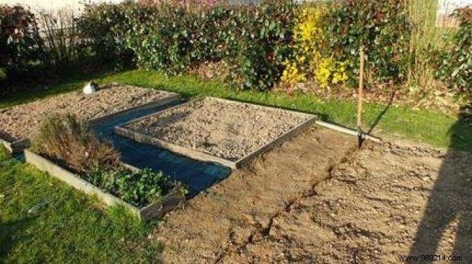 4 Tips for Preparing your Vegetable Garden for Spring. 