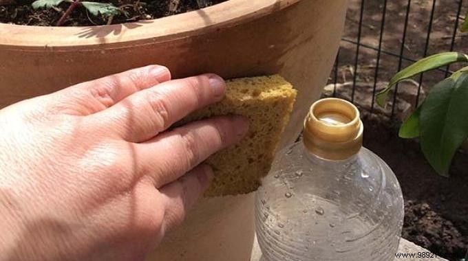 The Simple Trick To Clean A Stained Terracotta Flower Pot. 