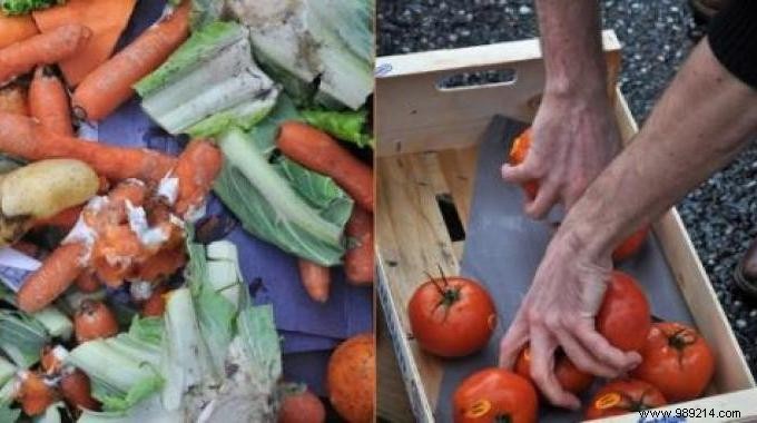 A Compost Bin to Have Natural and Free Fertilizer. 