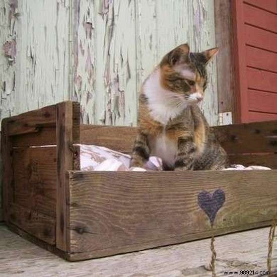 15 Surprising Ways to Reuse Old Wooden Pallets. 