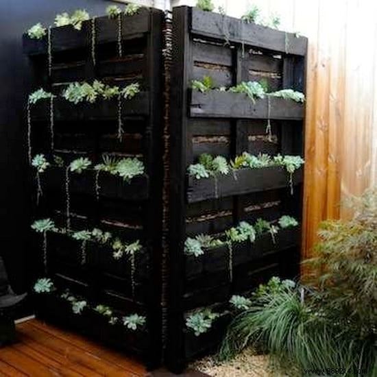 15 Surprising Ways to Reuse Old Wooden Pallets. 