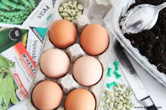 Use Eggshells As Seedling Pots To Save On Gardening. 