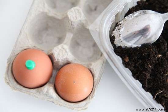 Use Eggshells As Seedling Pots To Save On Gardening. 