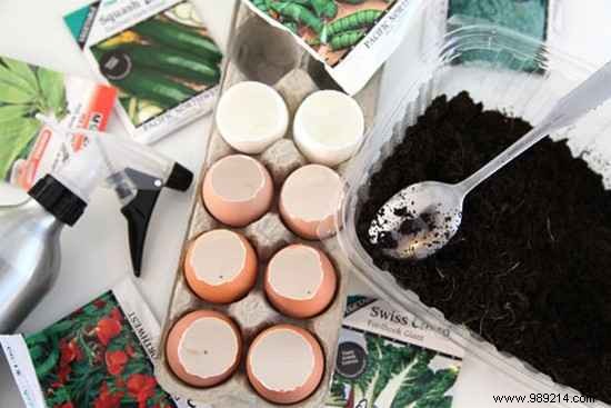 Use Eggshells As Seedling Pots To Save On Gardening. 